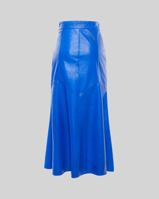 Healthy Blue Skirt